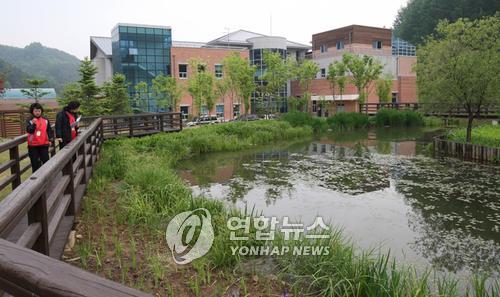 자연환경 이미지