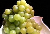 입 안에서 '톡톡' 싱그런 청포도