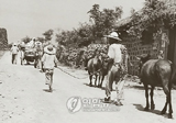 [제주 옛사진집] 말과 마차가 있는 제주의 옛 거리