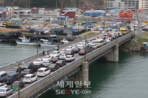 '대게가 효자노릇'… 영덕 강구항이 뜬다