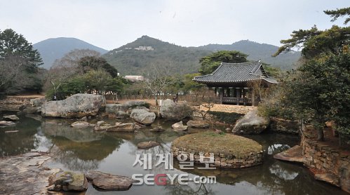 완도바다그대로 이미지