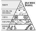난독증은 인류가 받은 최고의 선물?
