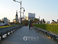 `사철 푸른 호밀 조경'