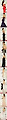 [화보]레드카펫 최고의 뒤태 여배우는 누구일까?