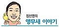 [마니아]"꼬마 앵무새를 잘 부탁해"