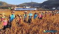 농촌봉사활동하는 부산銀 지역봉사단