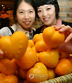 하트 모양의 감귤