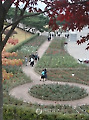 울산 빨간 단풍아래 '비밀화원'