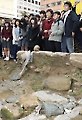 훼손된 문화재 둘러보는 박근혜 전 대표