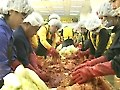 사랑으로 버무린 김장!