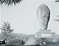한국전쟁 60주년 기념 강용석의 '한국전쟁 기념비' 사진전