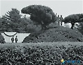 강용석의 '한국전쟁 기념비' 사진전-연천군 태국 참전비