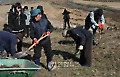 한국최초의 기녀 전화앵 묘 발굴작업