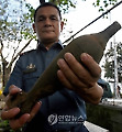 PHILIPPINES VINTAGE BOMB