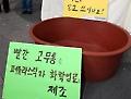 빨간 고무통아, 안녕~