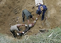 Philippines Hostages Killed