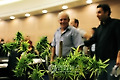 ISRAEL MARIJUANA