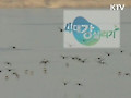 4대강 브랜드 첫선