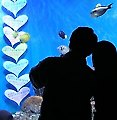 [フード& ②] ホテル宿泊からフェスティバルまで&hellip; バレンタイン思い出した切れ - [푸드& ②] 호텔 숙박부터 페스티벌까지&hellip; 밸런타인 추억 한 조각