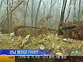 산림훼손 '무방비'