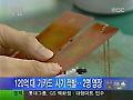 120억 대 '기카드' 사기 적발‥2명 영장