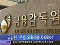 금감원 "은행, 외화대출 자제하라"
