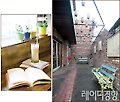 [프런트 에세이]작가 강영숙의 여행에서 돌아온 후