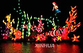 #(2)CHINA-KUNMING-LANTERN ART FESTIVAL (CN)