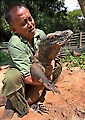 INDONESIA  KOMODO DRAGON