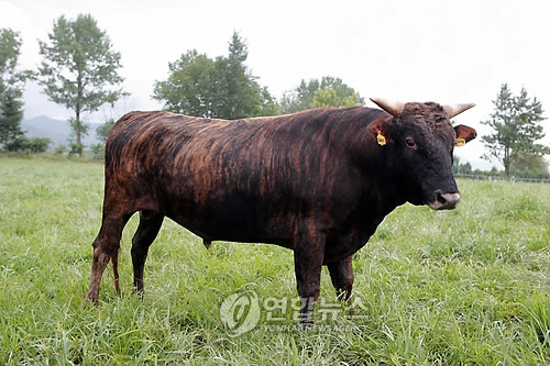 향수축산 이미지