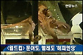 원본 이미지 보기
