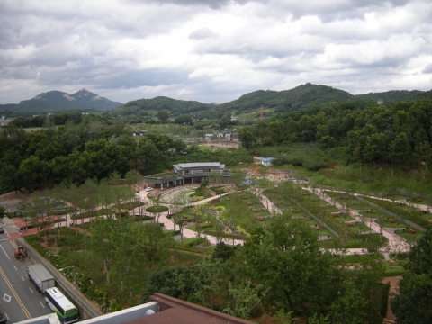 캠핑숲 이미지