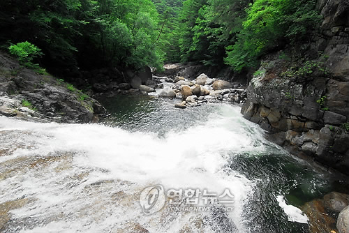 (주)천마여행사 이미지
