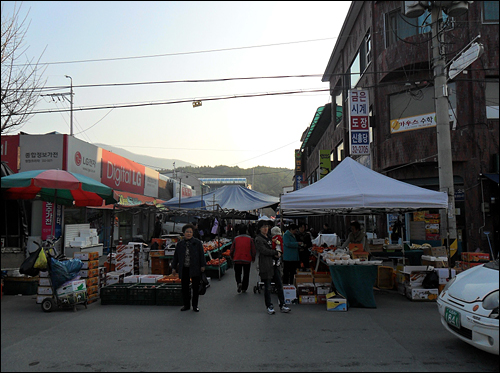 평창야채 이미지