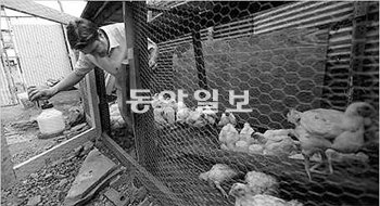 [저자와 차 한 잔]‘우리가 아는 미국은 없다’ 경북대 김광기 교수