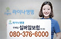 라이나 무배당 실버암보험 인기