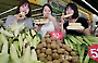 '햇 채소 반갑다~'
