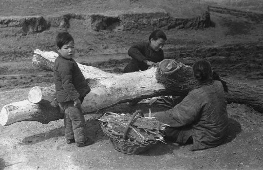 [책 속의 풍경]먹어야만 사는 사람들.. 1942년 중국 허난 대기근의 기록